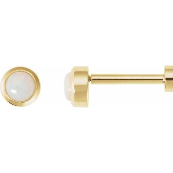 14K White 1/10 CT Rose-Cut Natural Diamond Press Fit Back Stud Earring