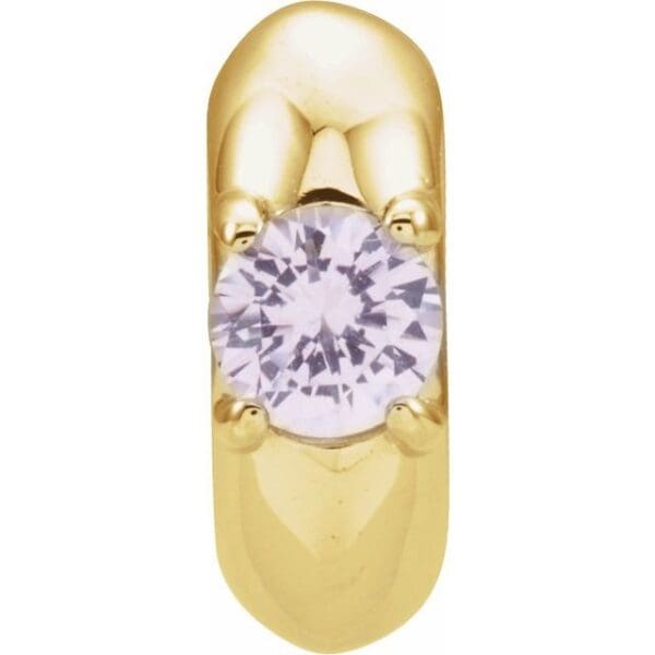 14K Yellow February Birth of a Child™ Miniature Birthstone Ring Pendant