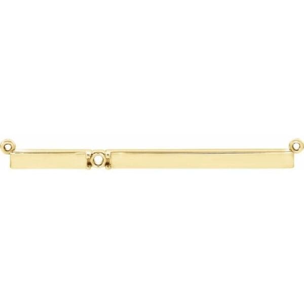 14K Yellow 2-Stone Family Necklace Center