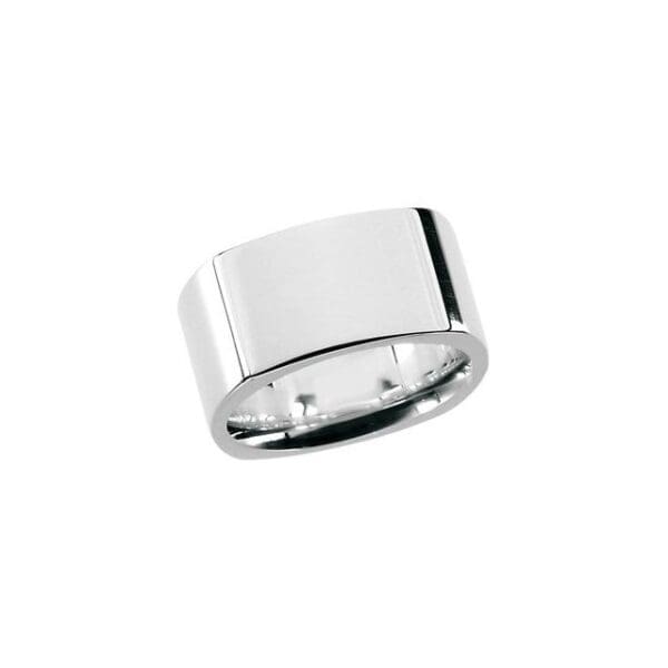 Sterling Silver Fashion Ring