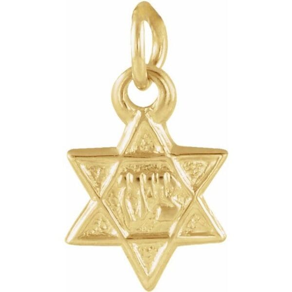 14K White 7.5x7 mm Star of David Pendant