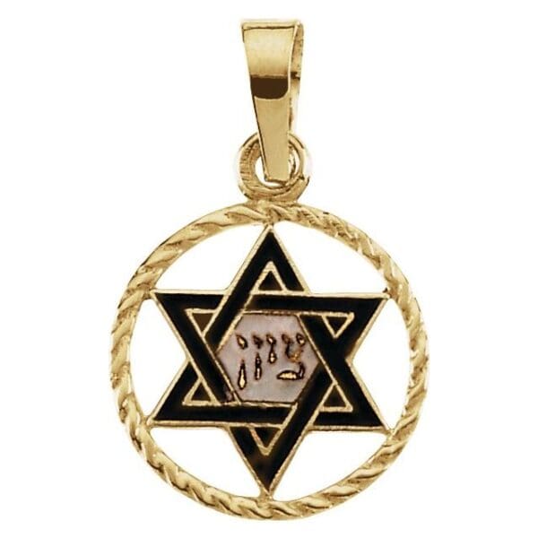 14K Yellow 18x10 mm Star of David Pendant