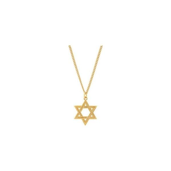 24K Yellow Gold-Plated Sterling Silver 28.8x22.62 mm Star of David 24" Necklace